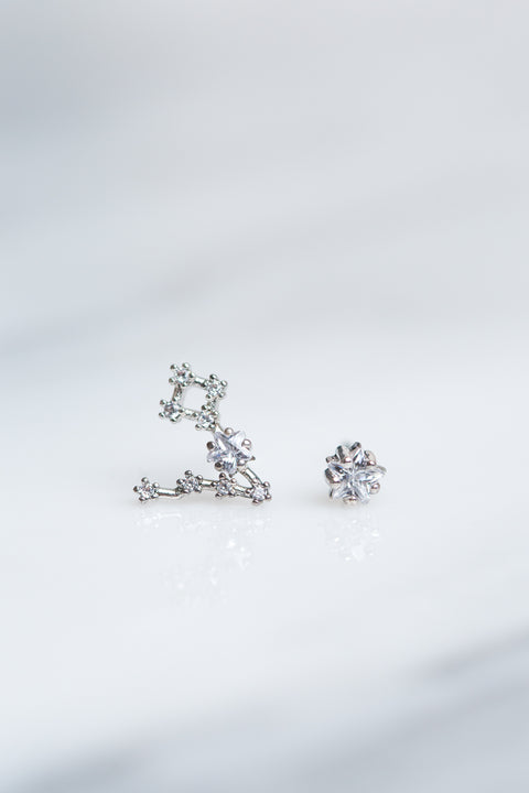 Pisces 24k White Gold Plated Studs